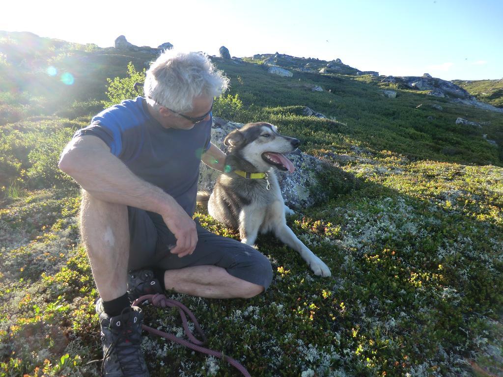 Haukeli Husky Fjellgård Villa Eksteriør bilde